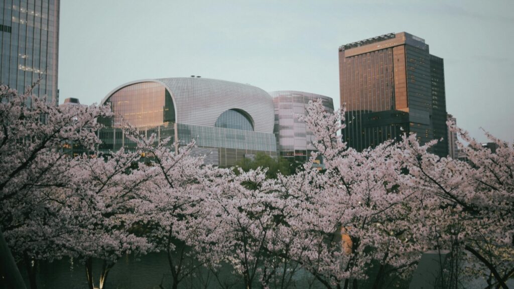 How Burkina Faso Facebook bloggers can collaborate with Canada advertisers in 2025