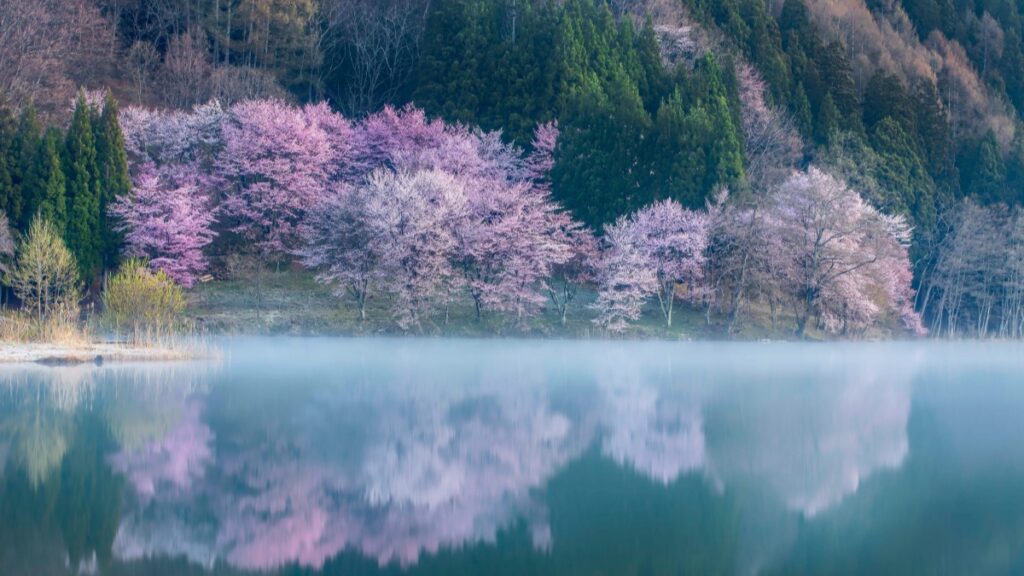 How Burkina Faso Pinterest bloggers can collaborate with USA advertisers in 2025