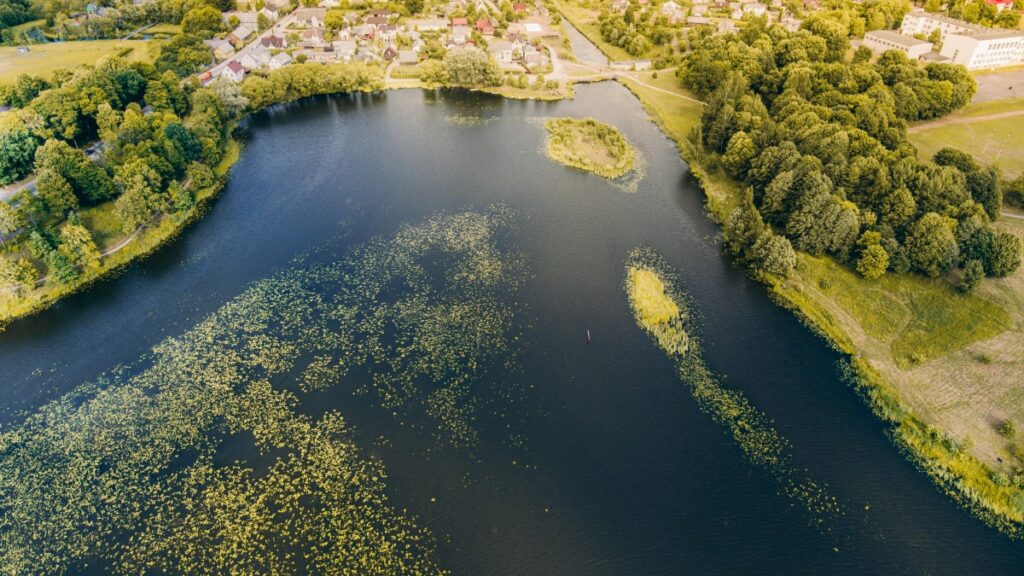 How Burkina Faso Facebook bloggers can collaborate with Côte d Ivoire advertisers in 2025