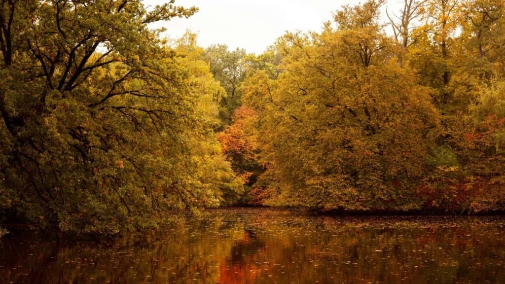 How Burkina Faso Instagram bloggers can collaborate with Russia advertisers in 2025