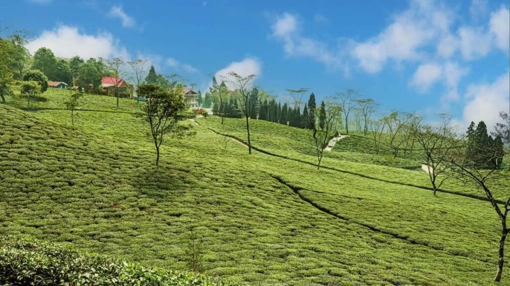 2025 Niger Instagram AllCategory Advertising Rate Card for Burkina Faso