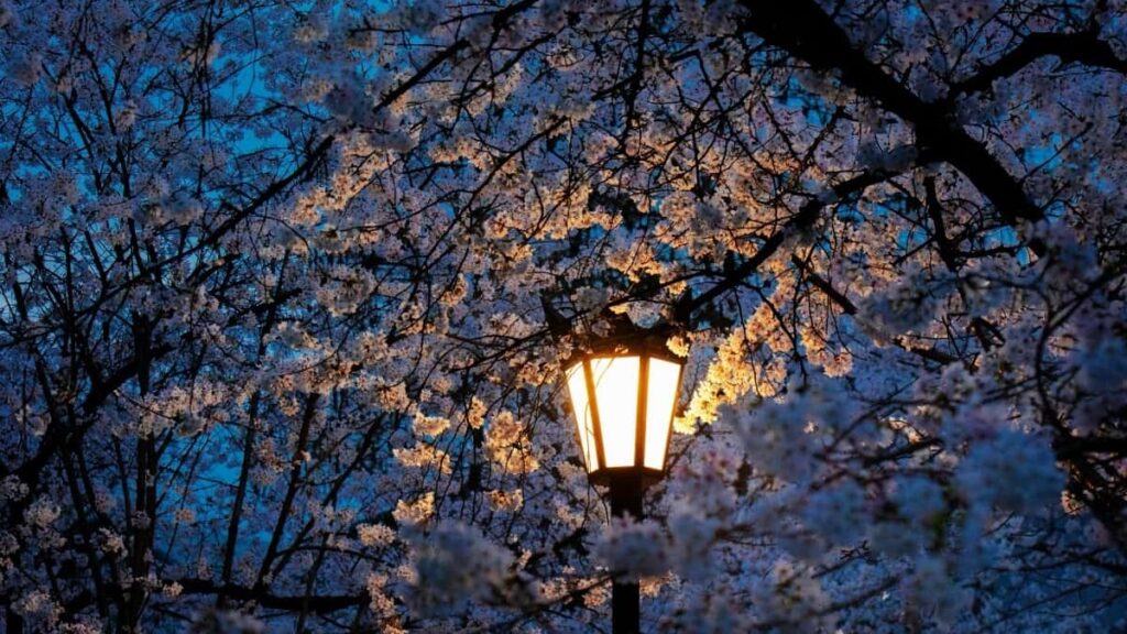 2025 Germany WhatsApp Advertising Rate Card for Burkina Faso Market