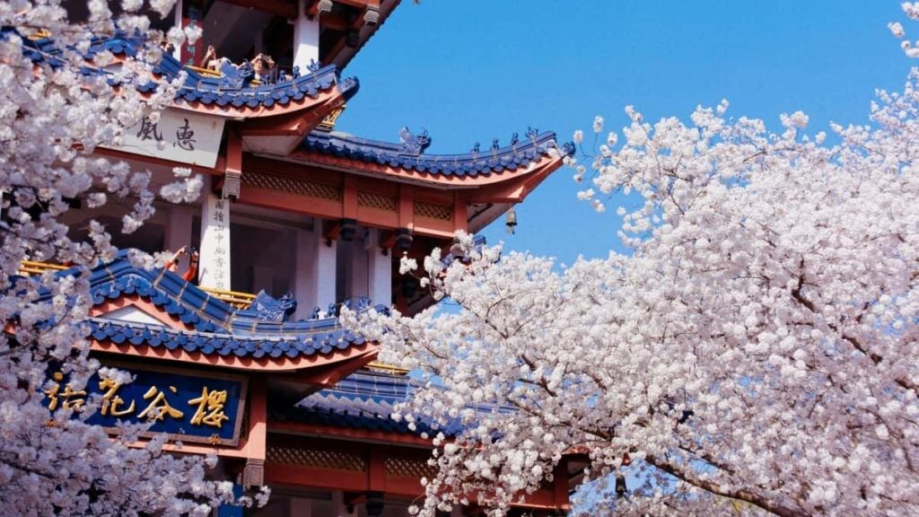 2025 Netherlands Pinterest All Category Advertising Rate Card for Burkina Faso