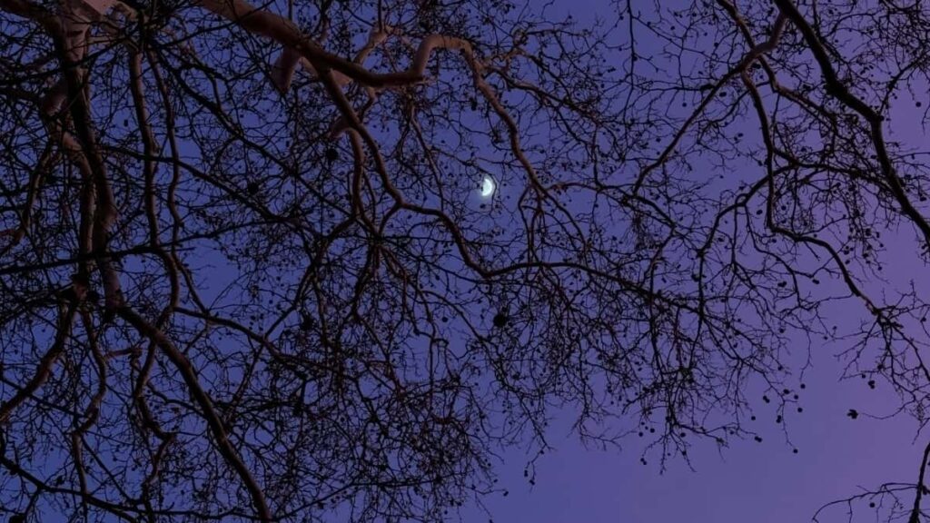 2025 Portugal Telegram Yelwende Naba Kɔɔre Kɔndu