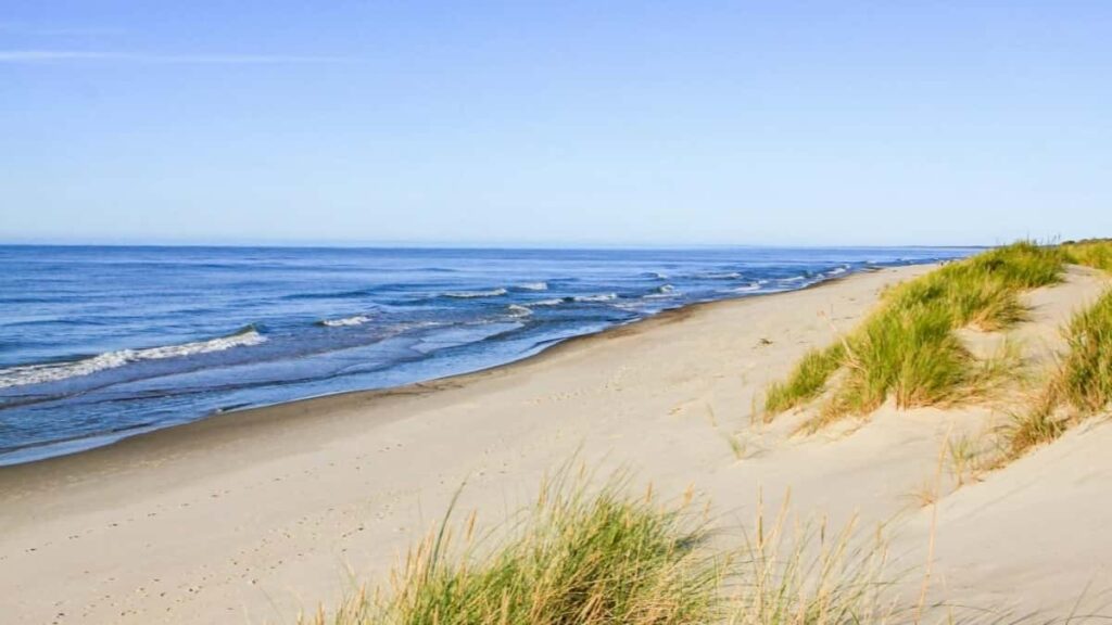 2025 Egypt Pinterest All Category Advertising Rate Card Burkinabe Perspective