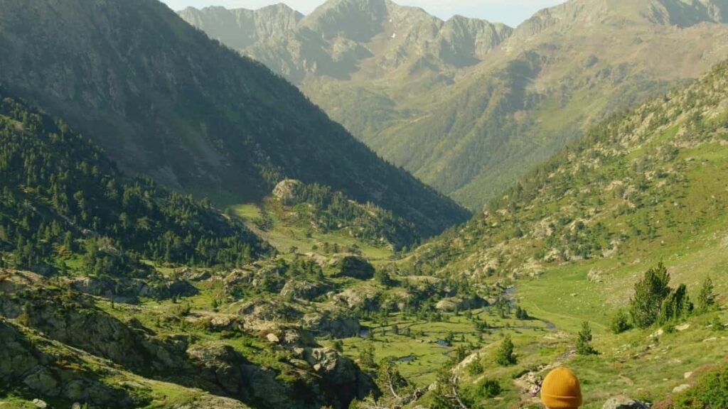 2025 France Twitter Sɛgɛnɛ Yèrèw Yel Kɔɔrda Na Burkina Faso