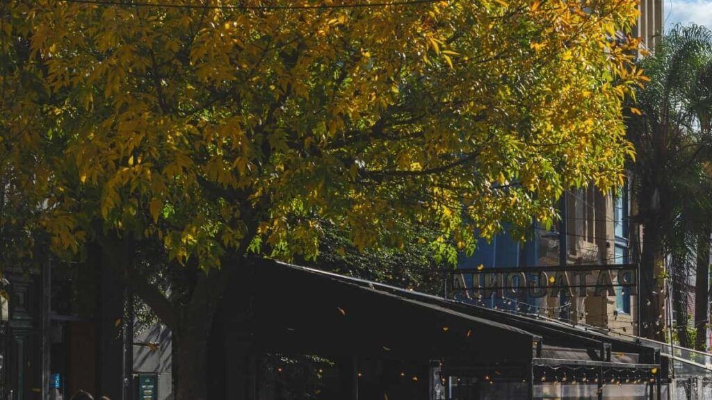 2025 Burkina Faso LinkedIn advertising rate card na South Africa