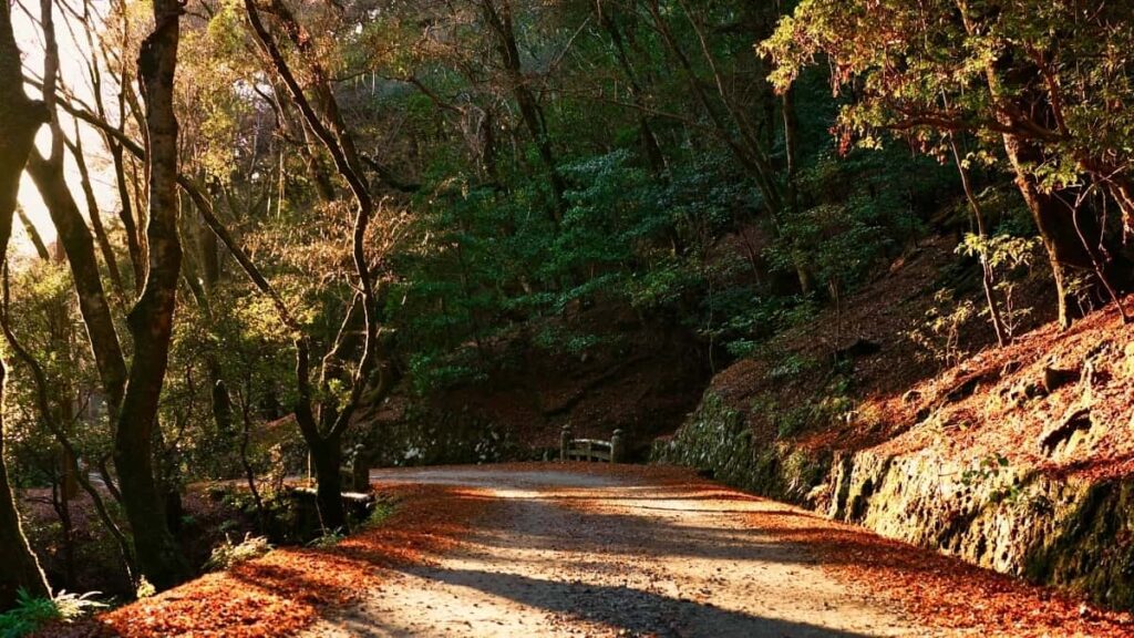 2025 Switzerland TikTok Neng Yiri Kogda Tiiga Zaafa