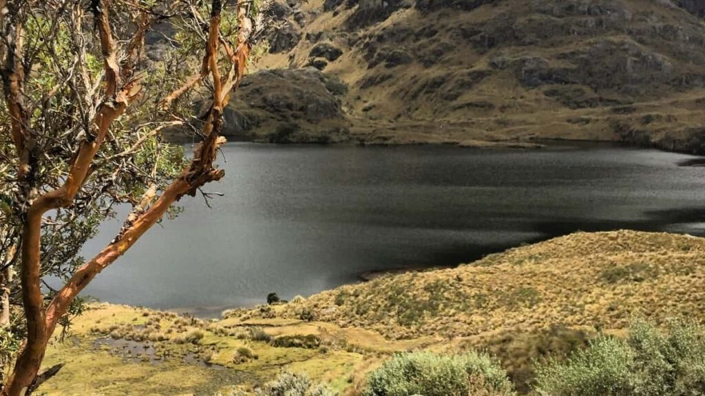 How Burkina Faso Pinterest bloggers can collaborate with Spain advertisers in 2025