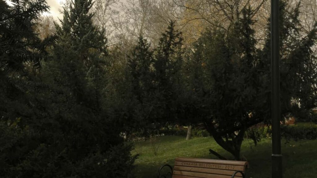 How Burkina Faso Twitter Bloggers Can Collaborate With UK Advertisers in 2025