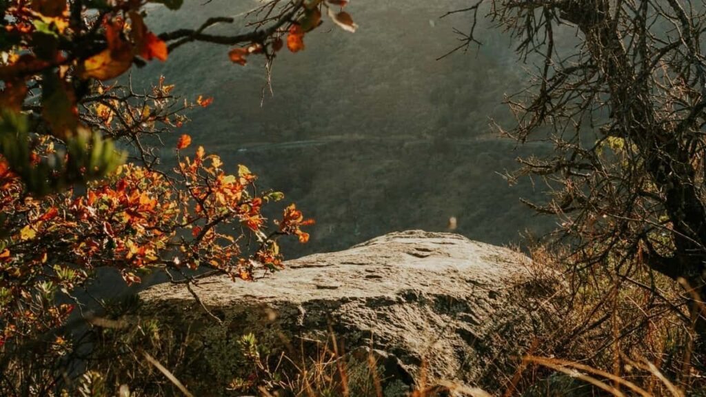 How Burkina Faso TikTok Bloggers Can Collaborate with France Advertisers in 2025