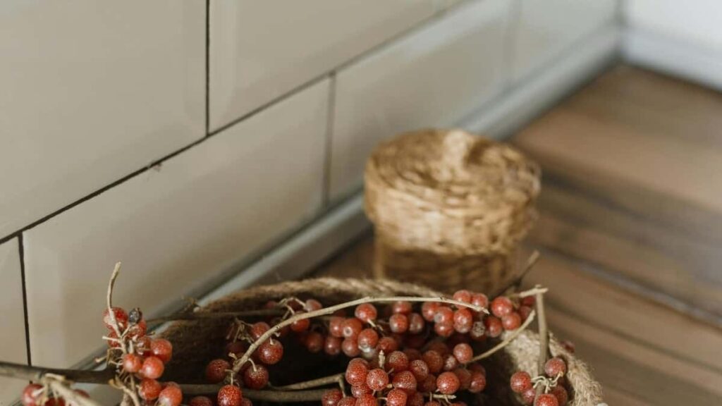 2025 Ivory Coast Telegram All Category Advertising Rate Card Burkina Faso