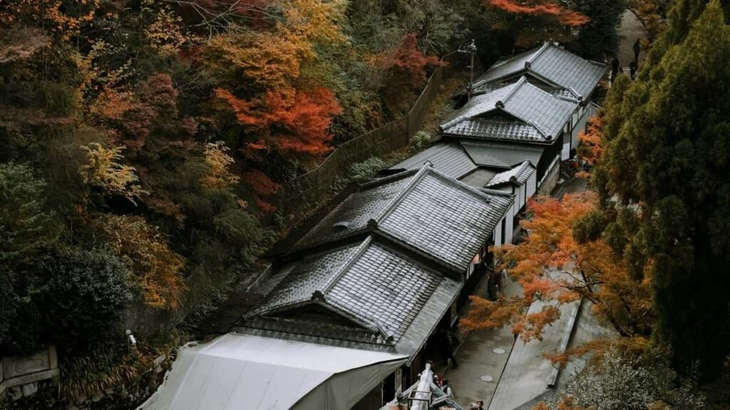 2025 Japan Twitter All Category Advertising Rate Card Na Burkina Faso