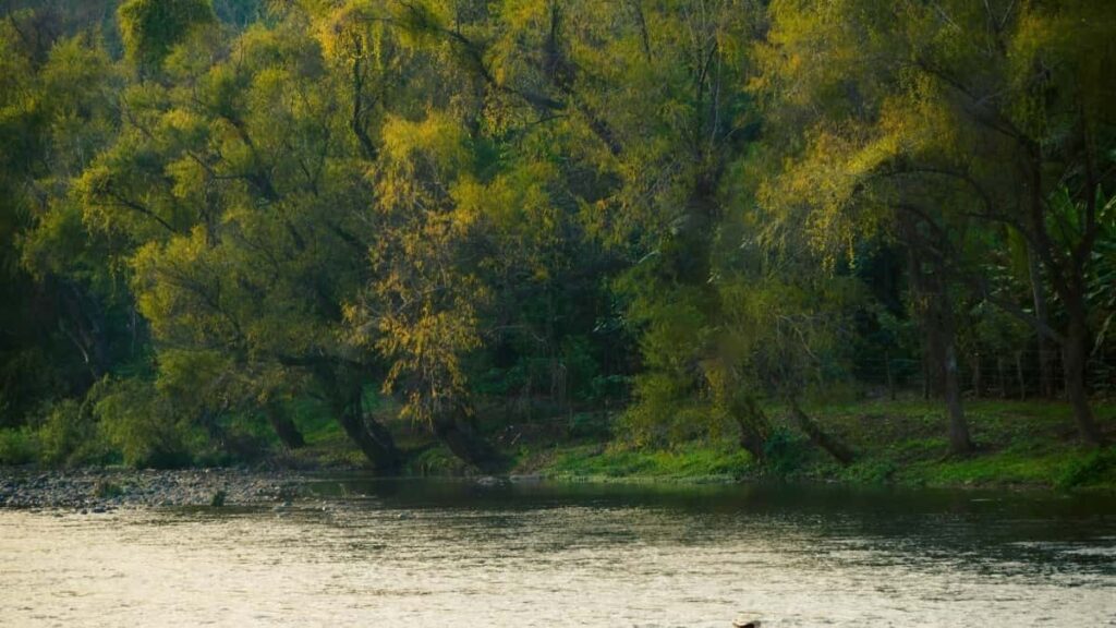 2025 China Telegram Siiwande Yiri Tinga Wigdi Yelema