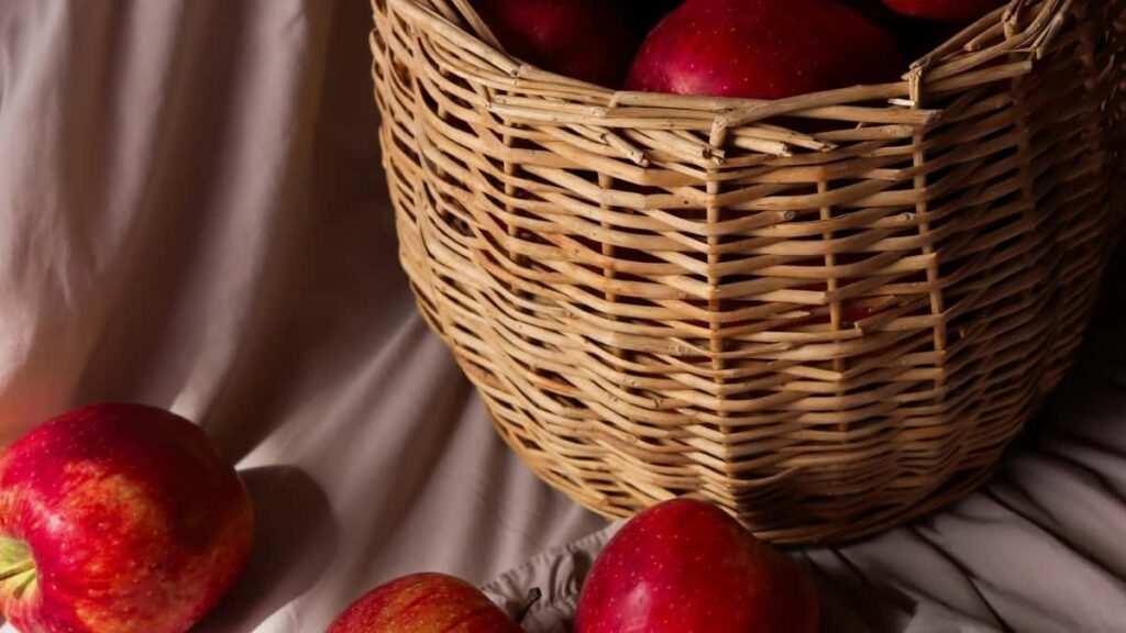 2025 Niger TikTok All Category Advertising Rate Card Burkina Faso