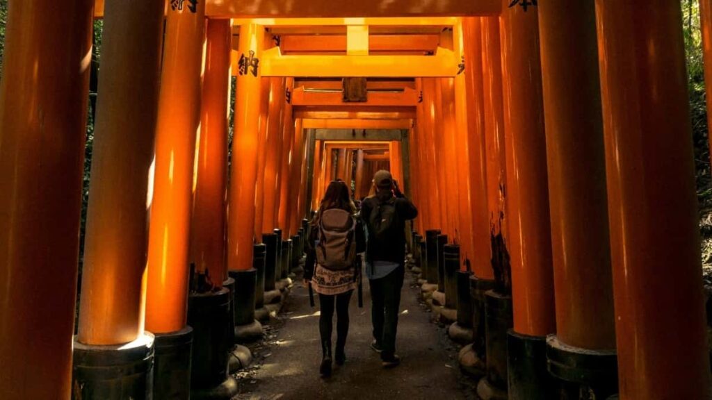 2025 Netherlands Twitter Bɛɛndɛ Kɔɔdɔ Wɛrɛ Bɔg Bɛrɛka