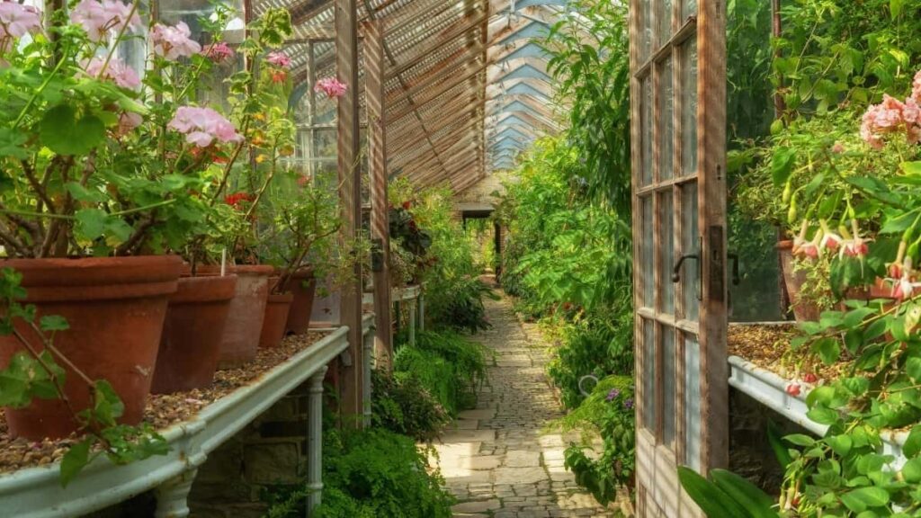 2025 Yɔru Instagram Tɛɛgbɛsɛgda Kɔɔrɛ Sɛb Yɔr Burkinabè