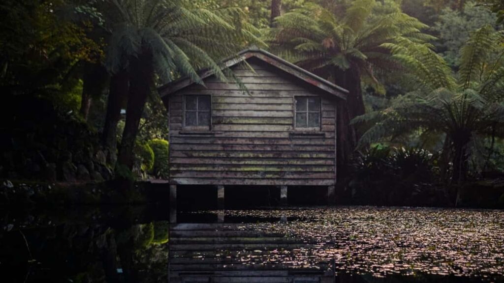 2025 India WhatsApp Advertising Rate Card fo Burkina Faso