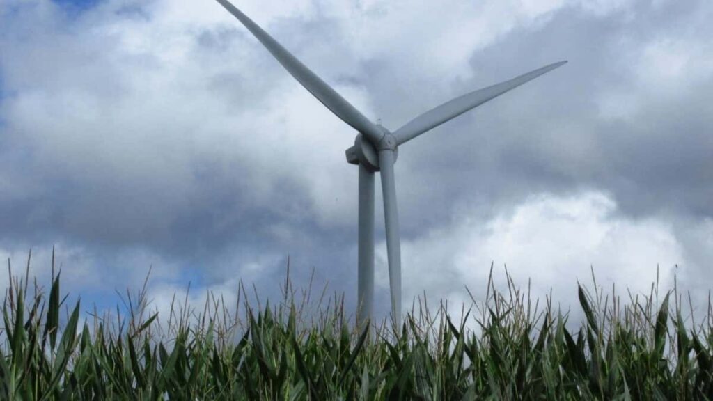 2025 United States LinkedIn All Category Advertising Rate Card Burkina Faso