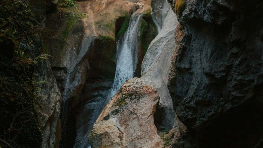 2025 Canada Pinterest Tiiga Yelenba Sigri Kira Burkina Faso