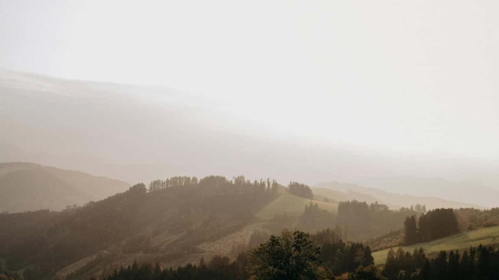 2025 Brazil WhatsApp Wende Yeli Kpaamba Gbomda