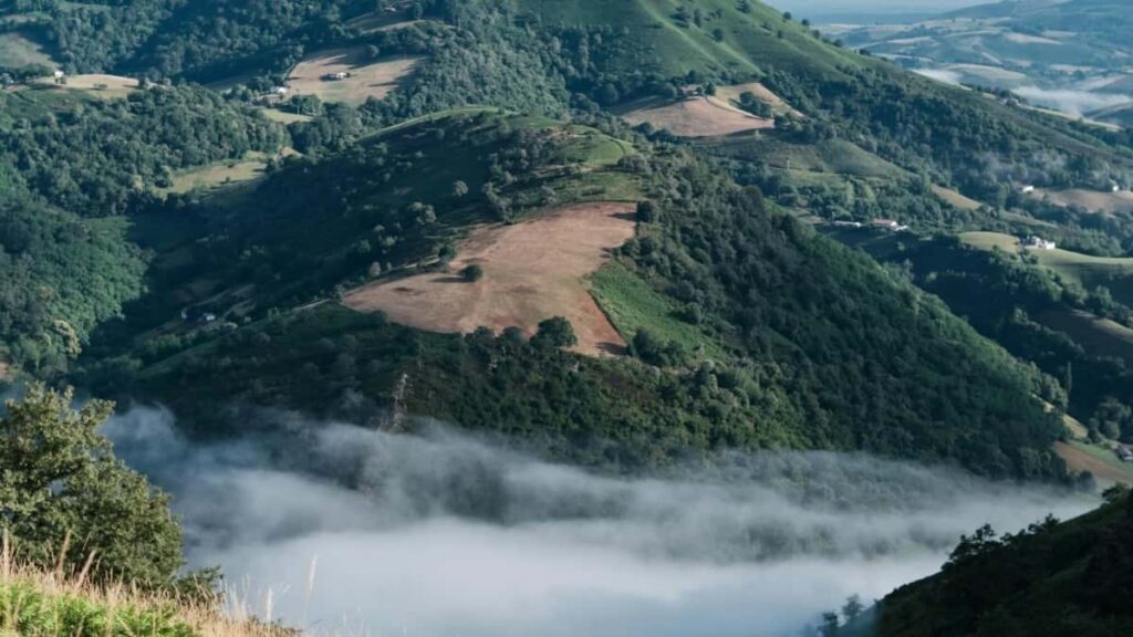 2025 South Africa LinkedIn All Category Advertising Rate Card