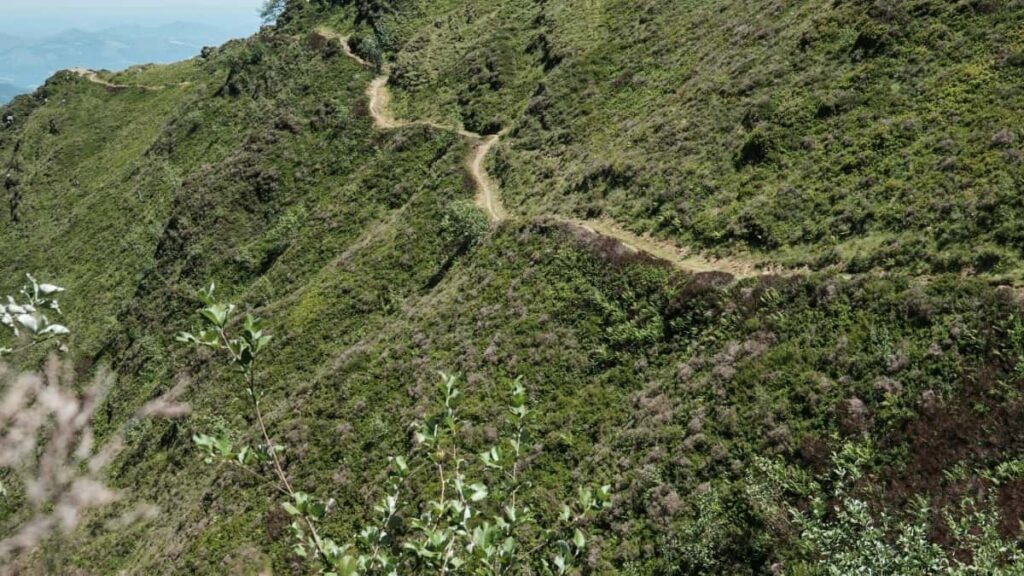 Snapchat United Arab Emirates 2025 Burkina Faso Ziguiga Songo