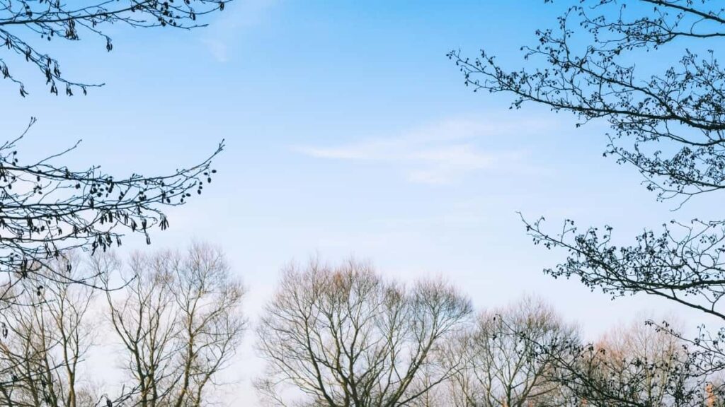 2025 China Facebook Yidɔɔre Wende Kɔnd Kɔnd La Burkina Faso