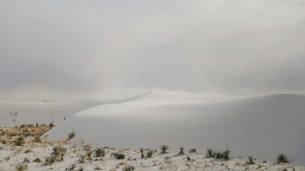 2025 Saudi Arabia YouTube All Category Advertising Rate Card Burkina Faso