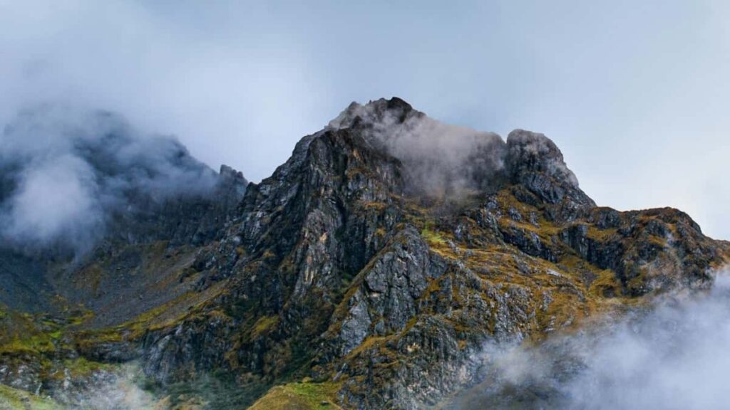 2025 France Pinterest Fanga Wende Yelen Tenga Saba