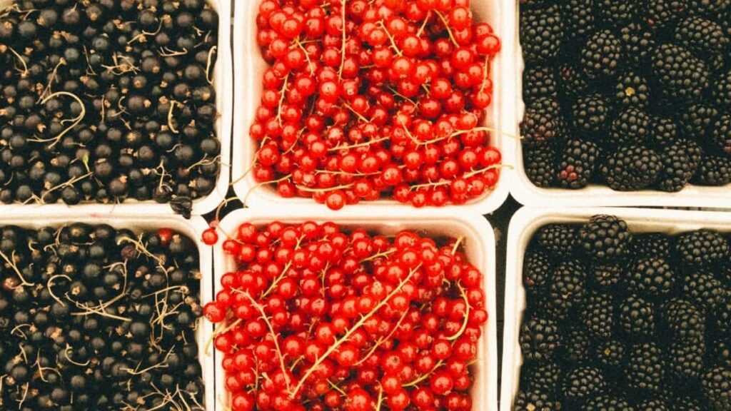 2025 Switzerland Instagram Advertising Rate Card Burkina Faso