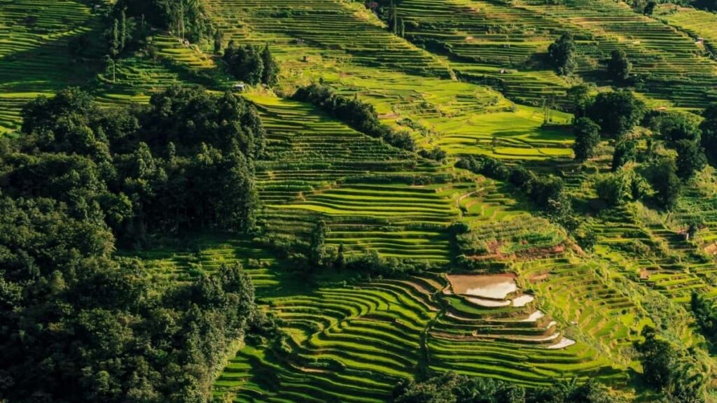 2025 South Korea YouTube Yelwende Sãb-Tiiga Fondega Naba