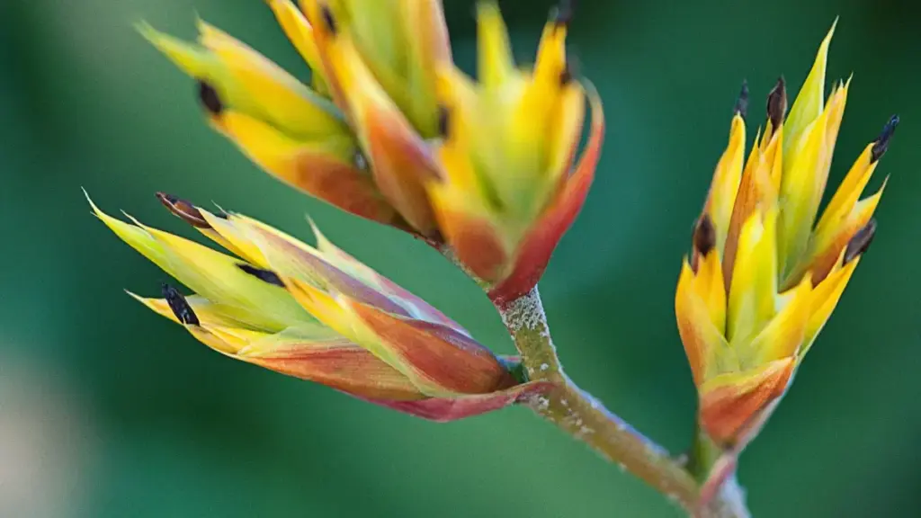 Fo creator la Burkina Faso, ni be yé yélen ka ta tag brand bi organic post da KakaoTalk Luxembourg.