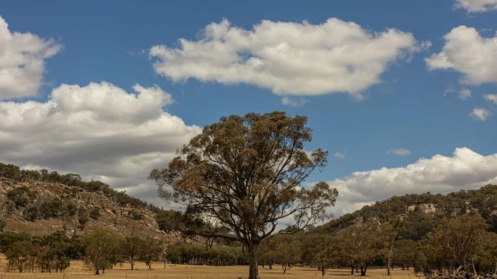 Découvrez comment négocier avec Disney Plus en Ukraine peut booster vos contenus et revenus.