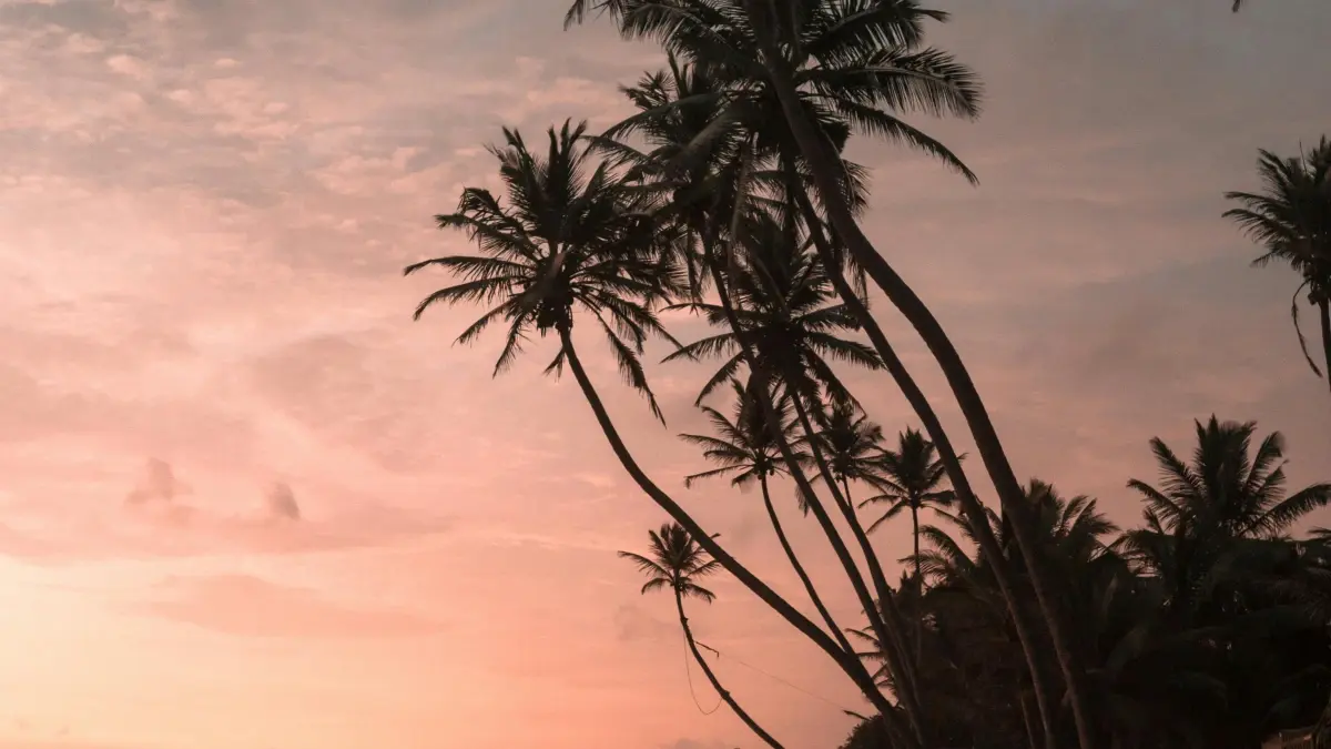 Marka Instagram la Germany: Fanga Fanga PR Paketi Kɛra Fɔ