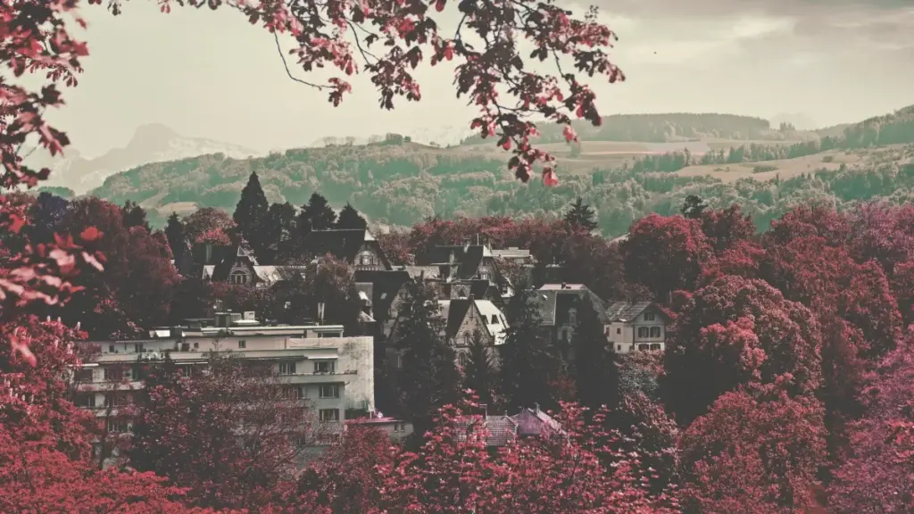 Moj Finland ka brand ye, ka baara kɔrɔbaga fo content kɛlɛw fɔ Burkina Faso fɔlɔ.