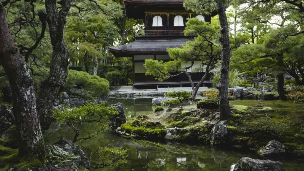 Soore ba Twitter laafi, Cyprus ye creator yamb, ka taa affiliate program yamb, ka foore yamb.