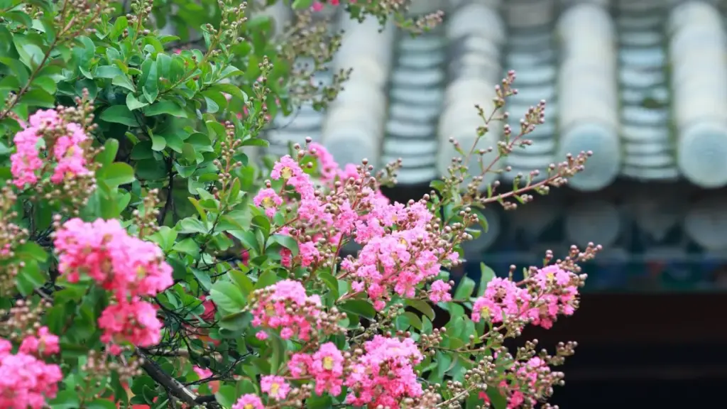 Fo ka sigi Bulgaria Rumble toogoogo, ka barka taaba mid-tier ka fo, ka jɛgɛsɛbɛ ka fɔlɔ.