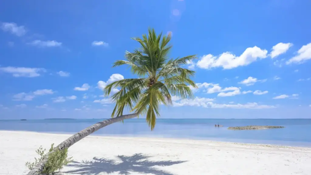 Kɛmɛ y wuub laafi: niyänga y ŋa Burkina Faso brand bi zaga yeega Bangladesh OnlyFans creators laabi ka bɛɛri produc-tɔg-yɛ. Tenga tiiga, saŋa, ka somd.