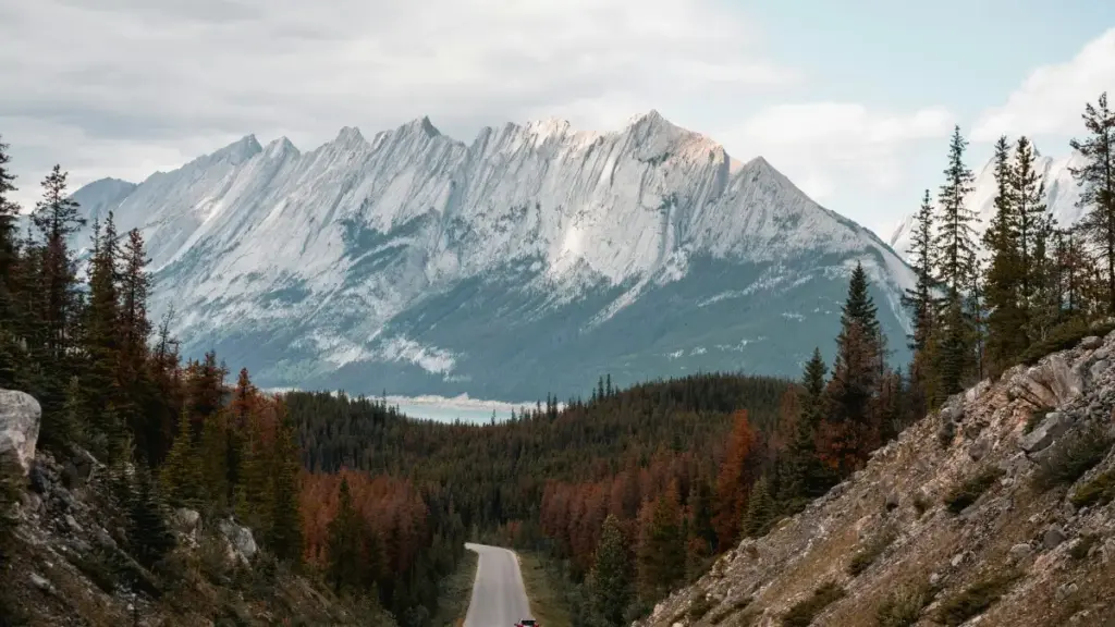 "Guide pratique poure créateurs au Burkina: comment atteindre marques Bulgarie su OnlyFans poure cross-promo, étapes claires, astuces locales et risques."