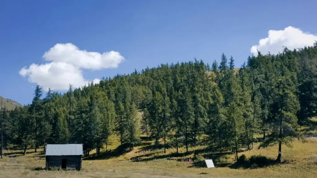 Guides praktikal pou reklamè Burkina Faso ka trouv créateurs Estonie lo eBay pou fè kampagn sostenabl kreyatè-dirijé.
