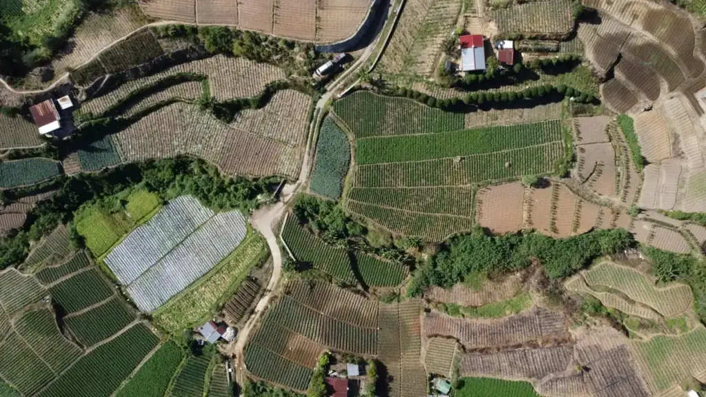 Guide pratique pour annonceurs au Burkina Faso: comment repérer, vérifier et lancer des campagnes UGC avec créateurs Panama Moj.