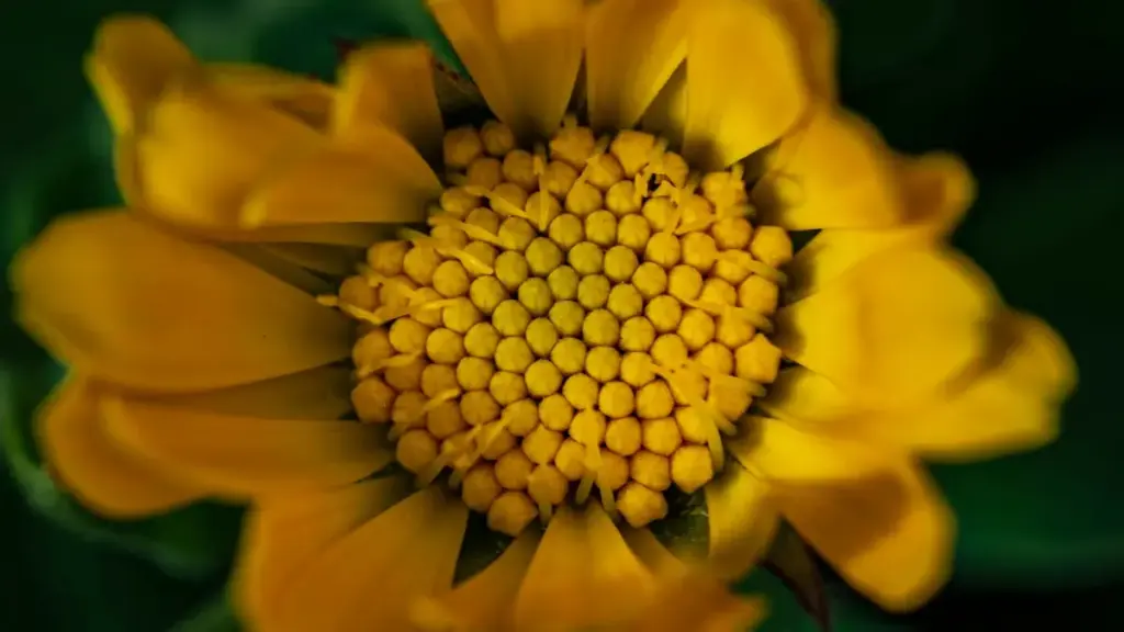 Guidé pour annonceurs au Burkina Faso : stratégie concrète pour identifier et engager créateurs Twitter d'Afrique du Sud afin d'augmenter l'engagement social.