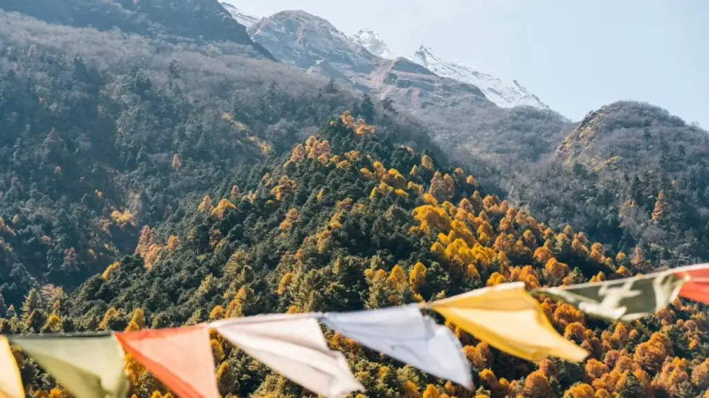 "Guides pratiques pour marques clean beauty au Burkina Faso : comment repérer et activer créateurs Facebook basés au Royaume‑Uni pour booster visibilité."