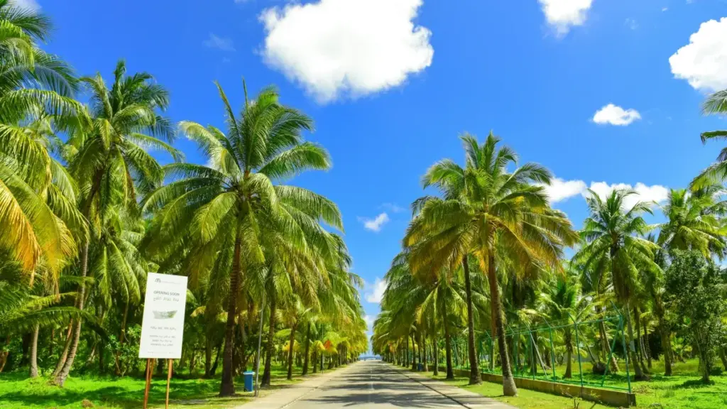 Guide pratique en mooré pour annonceurs du Burkina Faso: comment repérer créateurs Reddit au Uruguay et tester la demande marché.