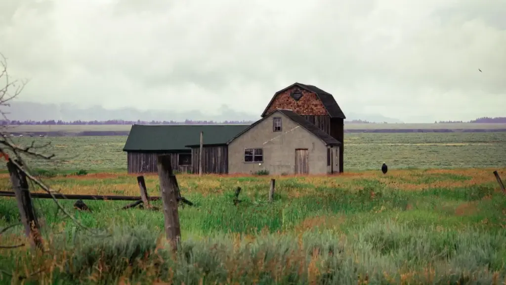 Découvrez comment connecter avec des créateurs finlandais sur Etsy pour des collaborations danse fun et efficaces.