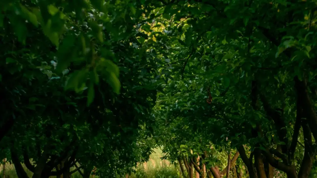 Kôndi yé Malta brands ka Apple Music, ka banbali sponsors yé, fɔlɔ bɛɛ ka fɔlɛ ni cɛ kɛra.