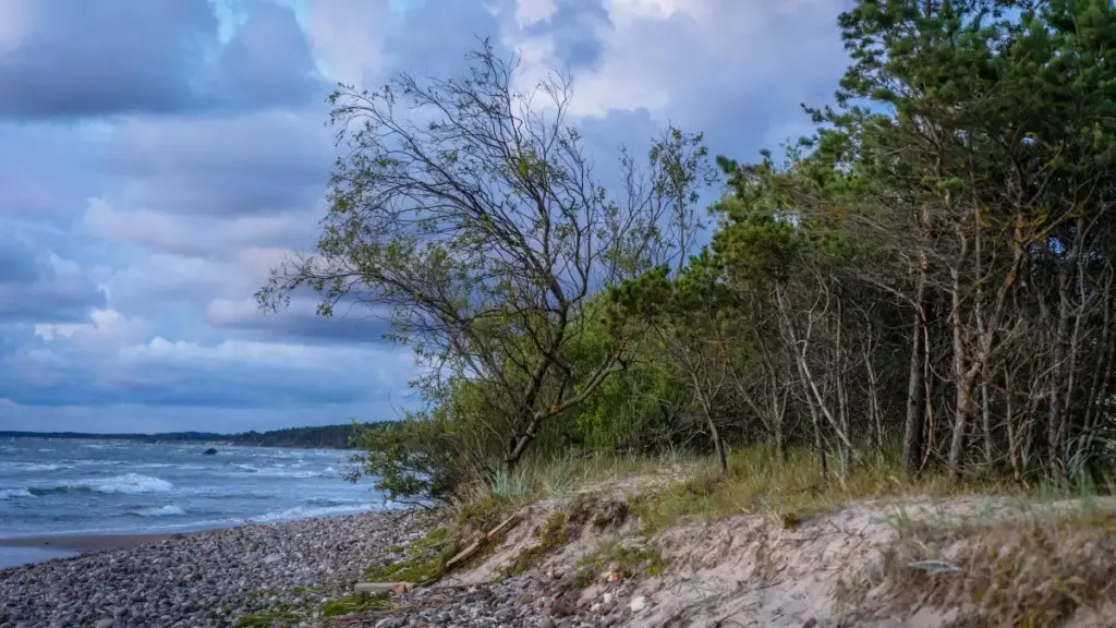 Guide pratique pour créateurs au Burkina Faso: comment contacter marques du Bangladesh via WhatsApp pour filmer coulisses et obtenir accords pro.