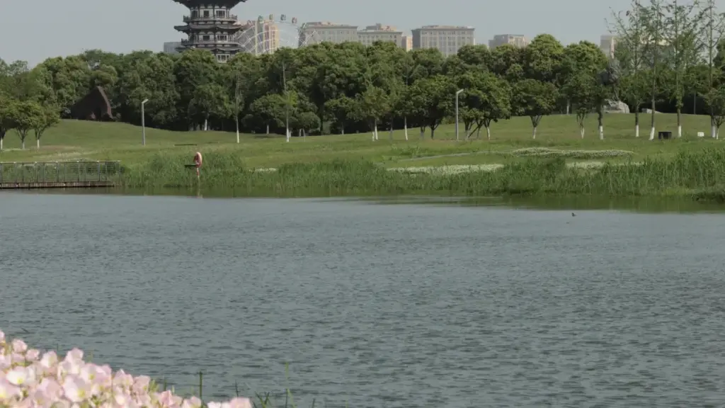 "Labɛɛɣ la, yeega ka bɔg-nɛ yelga: niŋ eBay Egypt brands ka fɔr sɔnd tiiga ka n y-b töögd-yɛlga."