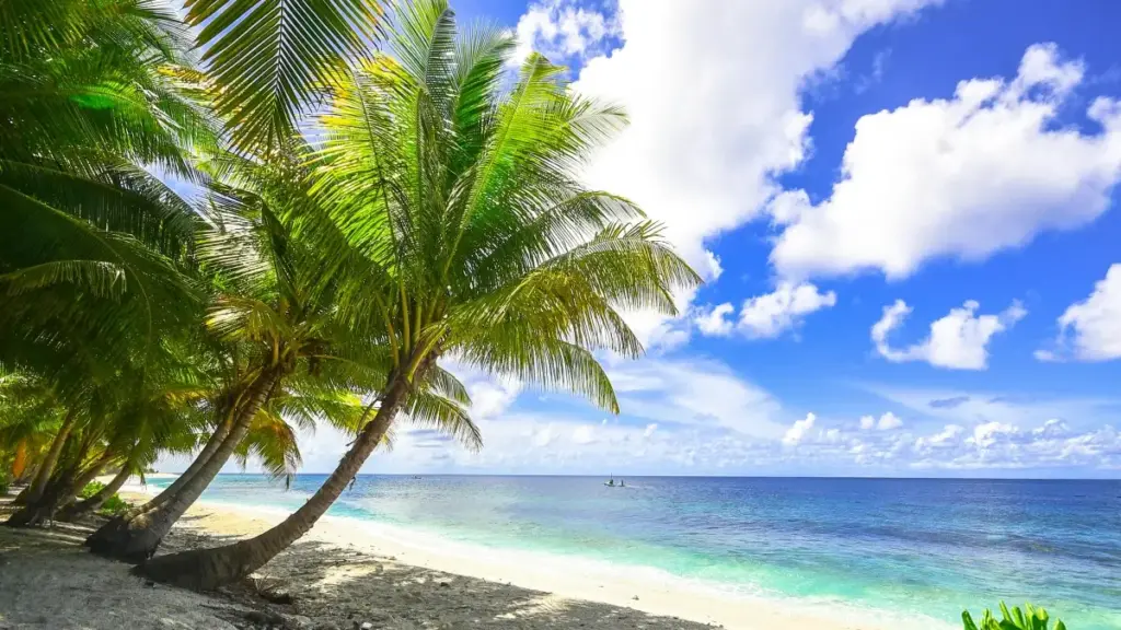 Ga yamb lafi: foŋgo ka Clubhouse la Laos brand-bi, fɔɔra yamb baga, ni ka yelga zaame ka foŋdo yeema.